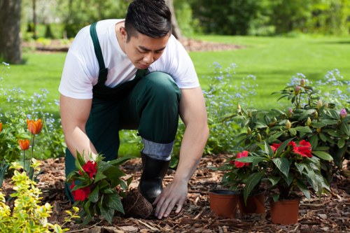Free quote policy for Tree Surgeon Tower Hamlets services