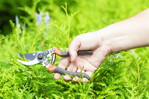 Tree pruning near a building in Tower Hamlets with limited access