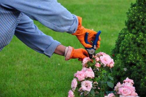 Local tree surgery team responding to a dangerous branch near a property