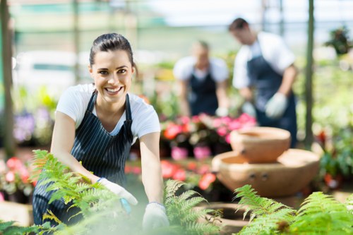 Local hedge maintenance for a home or business frontage in Tower Hamlets